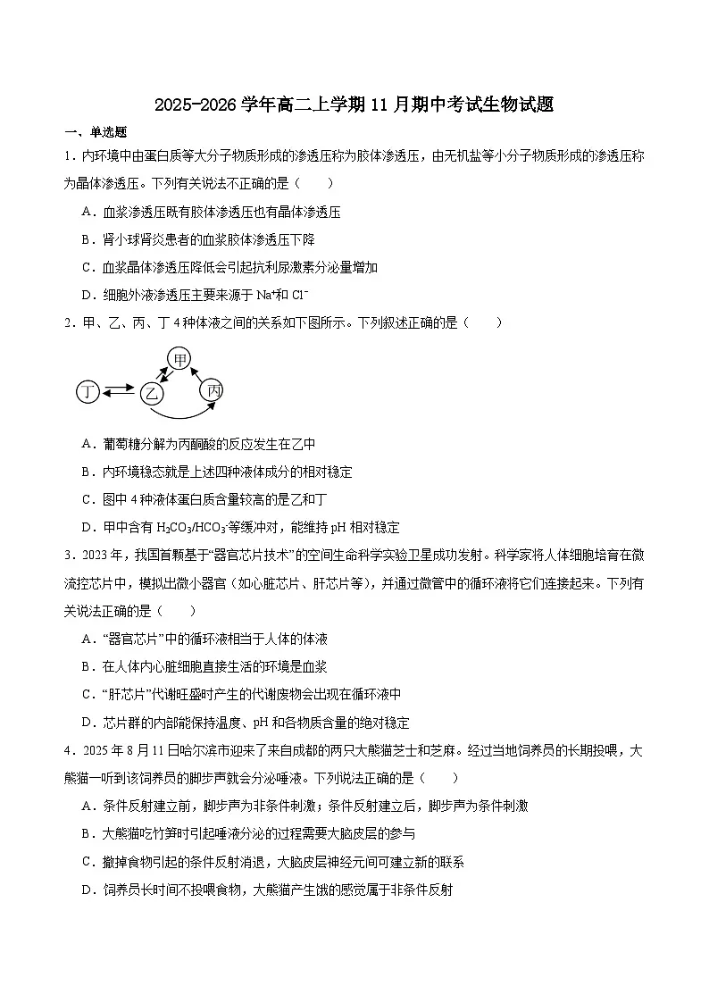 黑龙江省绥化市新时代高中教育联合体2025-2026学年高二上学期期中联考生物试卷（有答案）第1页