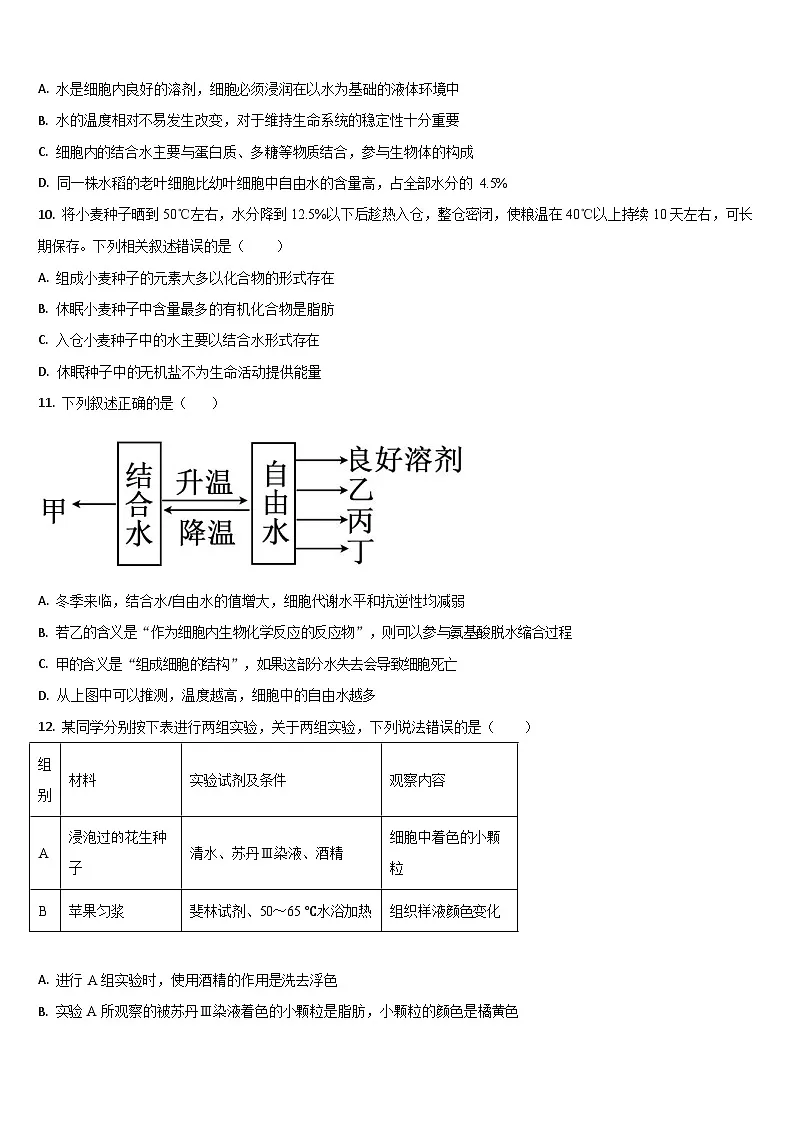 吉林省梅河口市第五中学2025-2026学年高一上学期11月期中考试生物试卷第3页