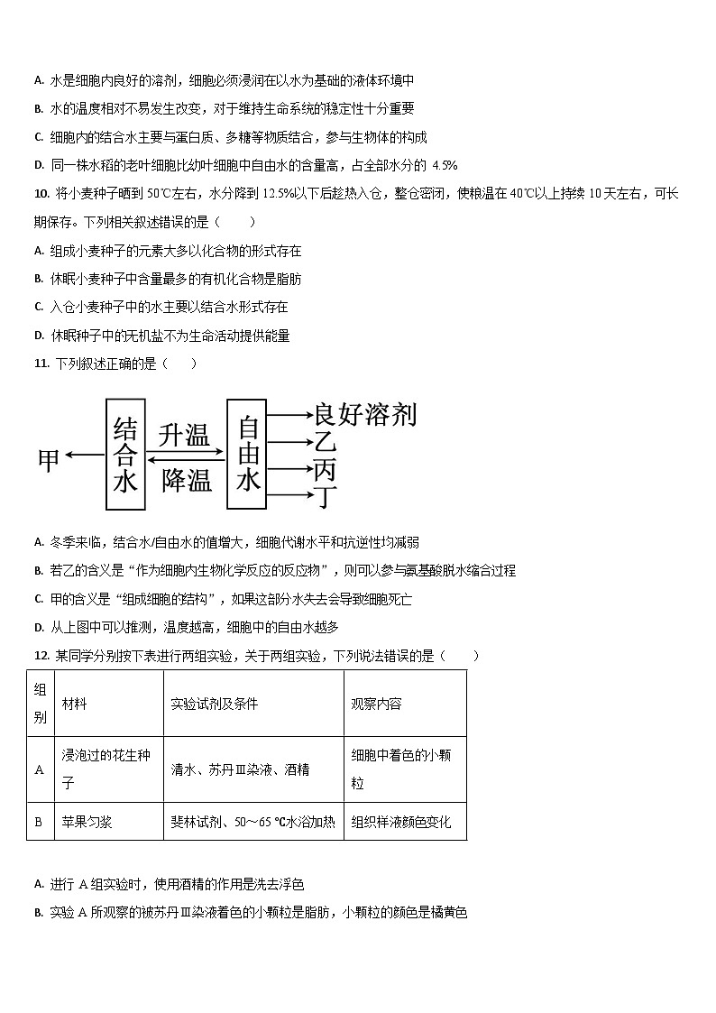 吉林省梅河口市第五中学2025-2026学年高一上学期11月期中考试生物试卷第3页