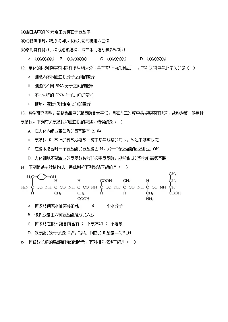 吉林油田高级中学2025-2026学年高一上学期11月考试生物试卷第3页