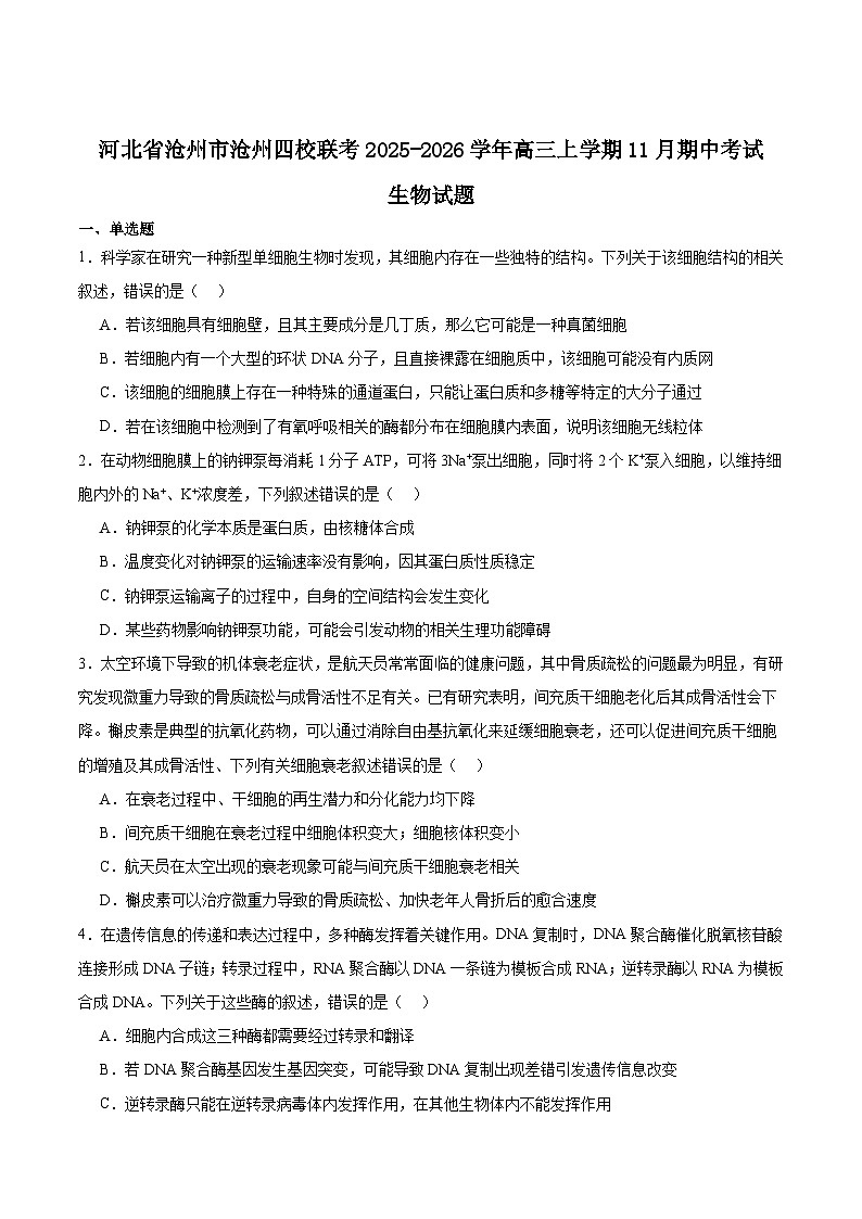 河北省沧州市四校2026届高三上学期11月期中联考生物试题（Word版附答案）第1页