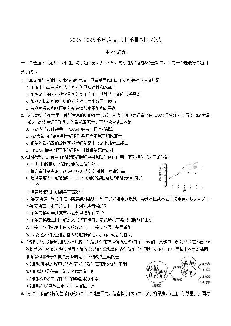 河北省邢台市七校2026届高三上学期期中考试生物试题（Word版附答案）第1页