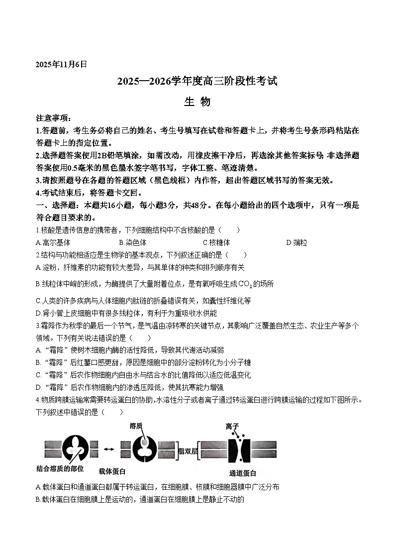 河南省三门峡市2026届高三上学期11月期中考试生物试题（Word版附答案）第1页