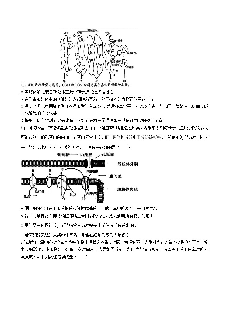 河南省三门峡市2026届高三上学期11月期中考试生物试题（Word版附答案）第3页
