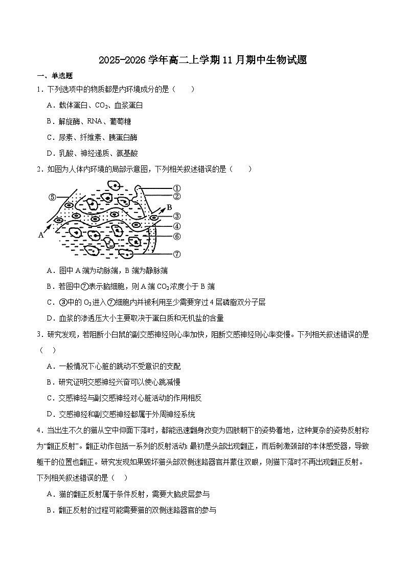 黑龙江省齐齐哈尔市齐市普高联谊校2025-2026学年高二上学期期中考试生物试题（Word版附答案）第1页