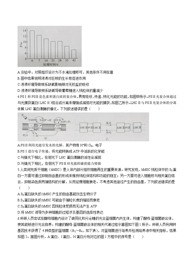 江西省赣州市十八县（市、区）二十四校联考2025-2026学年高三上学期期中考试生物试题（Word版附解析）第2页