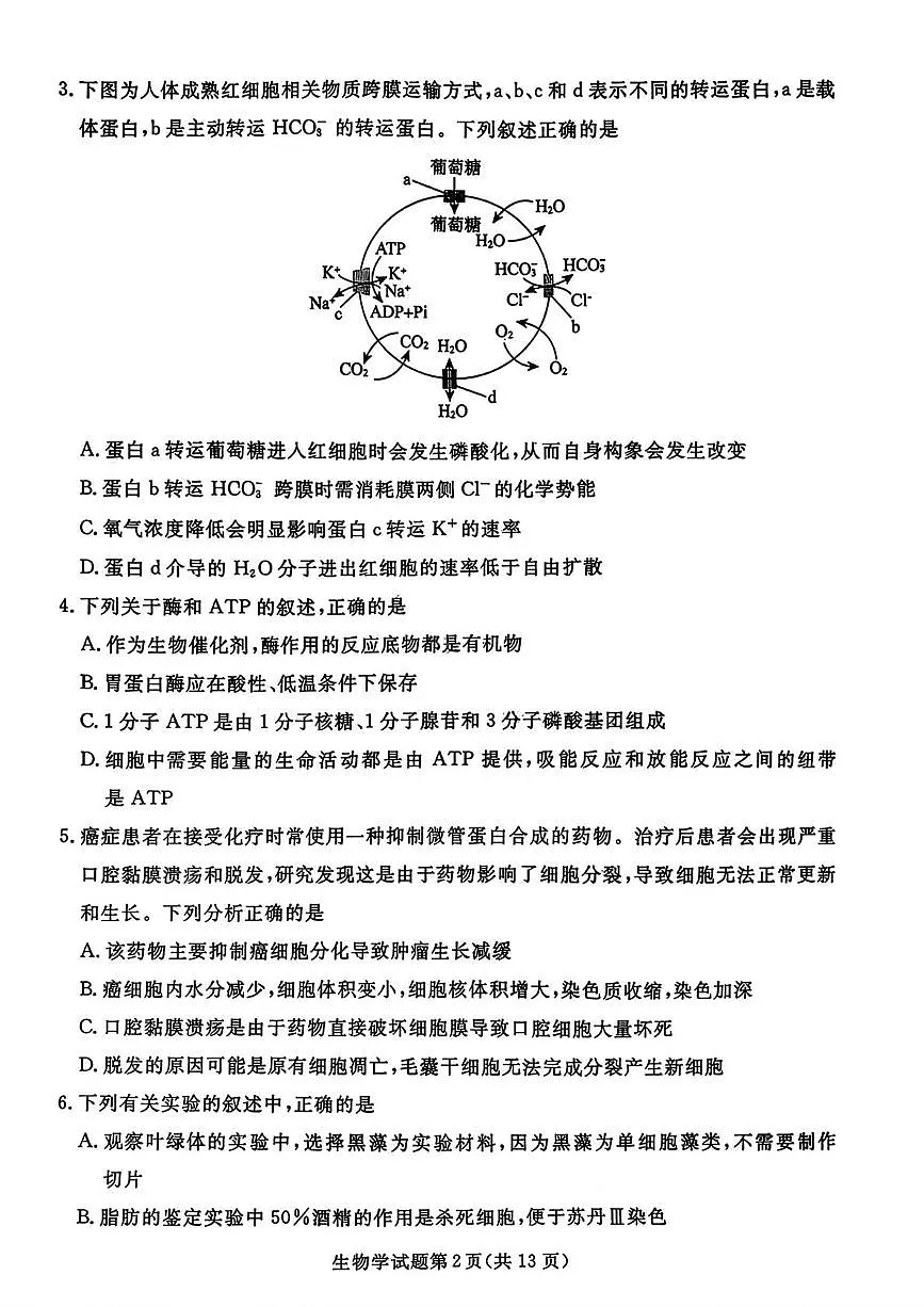 辽宁省名校联盟2026届高三上学期11月期中联合考试生物试题（PDF版附答案）第2页