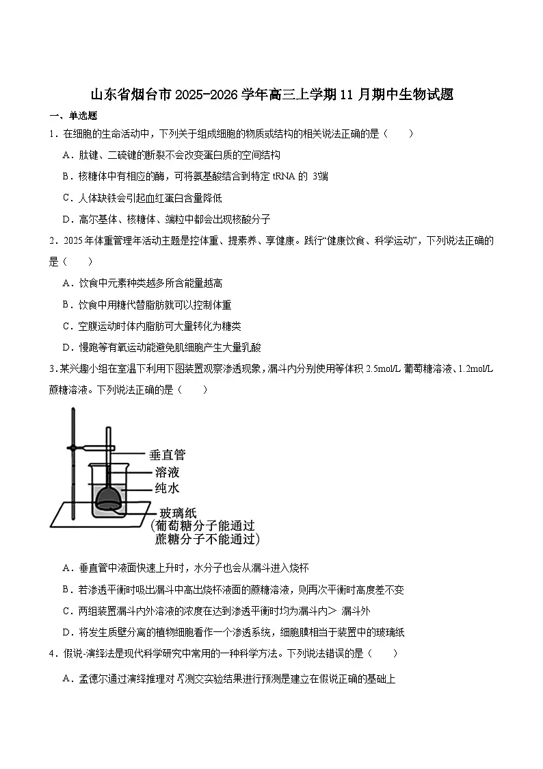 山东省烟台市2026届高三上学期期中考试生物试题（Word版附答案）第1页