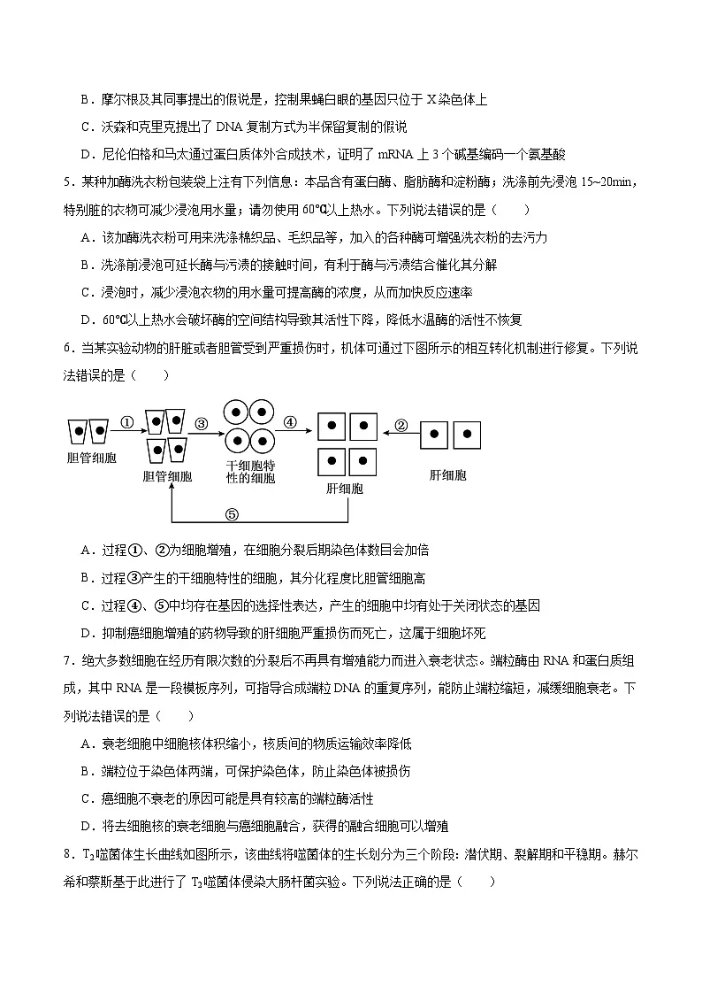 山东省烟台市2026届高三上学期期中考试生物试题（Word版附答案）第2页
