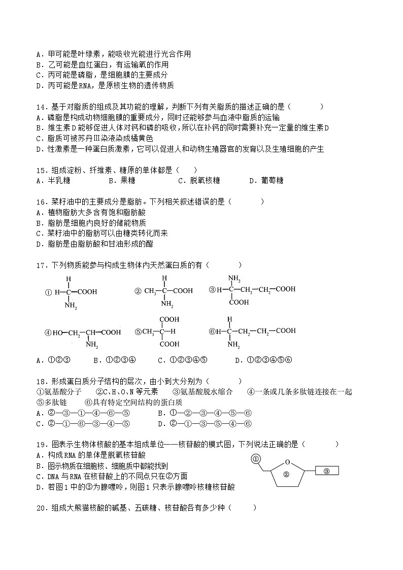 新疆喀什市2025-2026学年高一上学期期中测试生物试题（Word版附答案）第3页