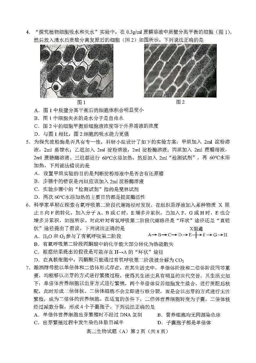 山东省菏泽市A类高中2026届高三第一学期期中考试 生物试题+答案第2页