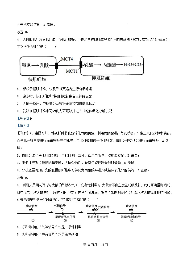 重庆市2025_2026学年高二生物上学期10月月考试题含解析第3页