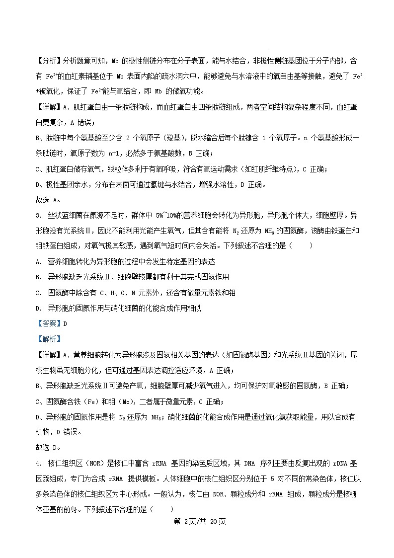 重庆市沙坪坝区2025_2026学年高三生物上学期10月月考试题含解析第2页