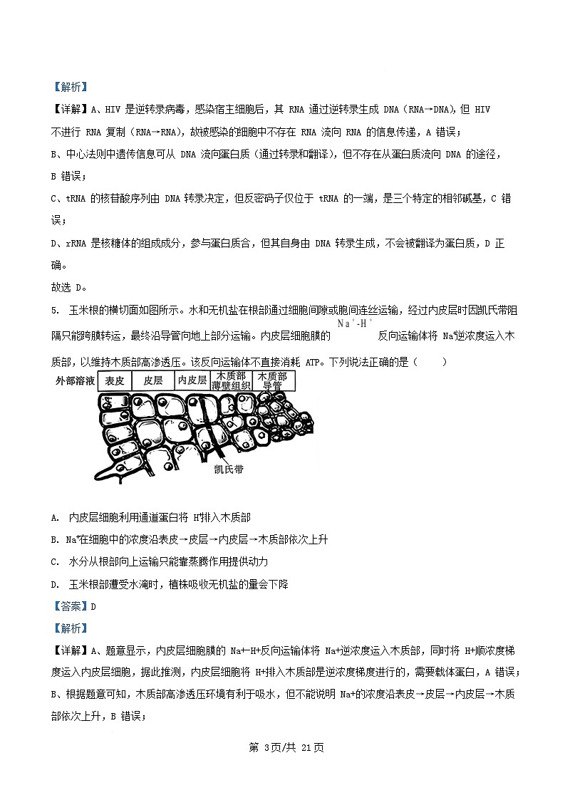重庆市渝中区2025_2026学年高三生物上学期10月月考试题含解析第3页