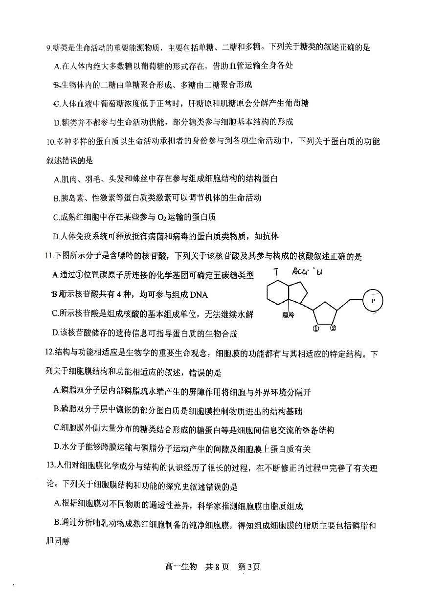 辽宁省辽南协作体2025-2026学年第一学期高一生物期中试卷（含答案）第3页