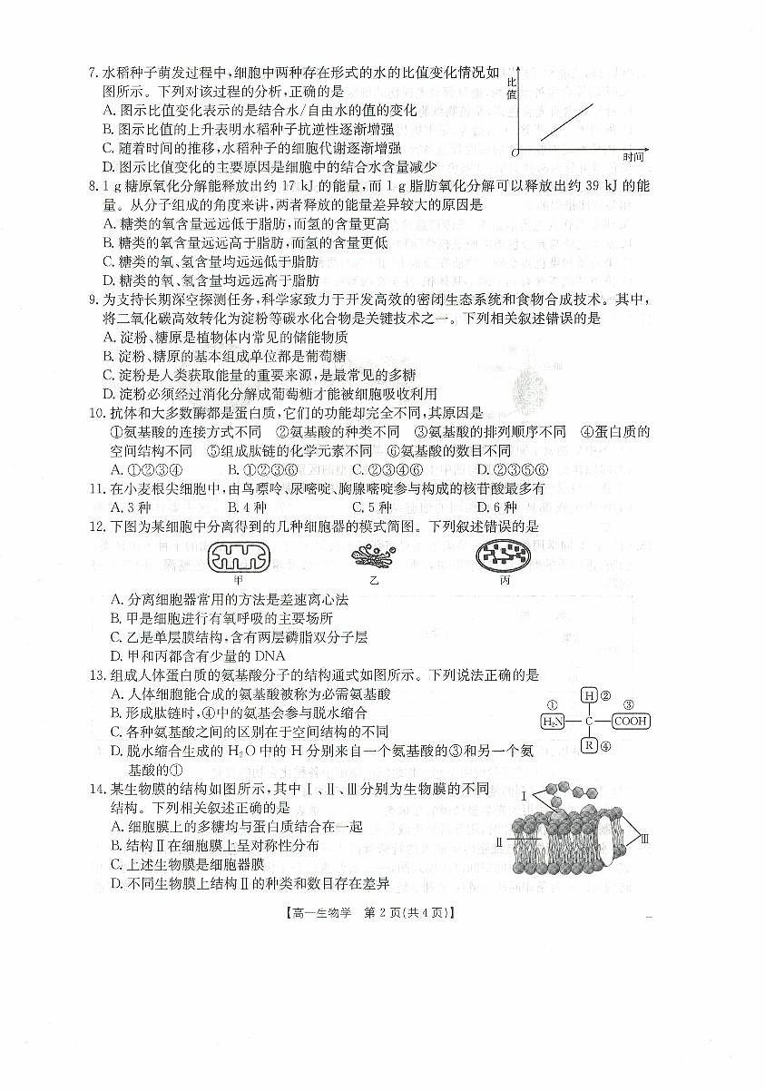 高一生物试卷第2页