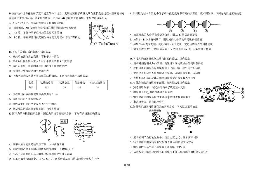 黑龙江省哈尔滨师范大学附属中学2024-2025学年高一上学期期中考试生物试卷含答案第2页