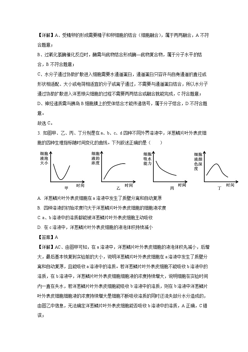 【生物】河北省邯郸市2025-2026学年高三上学期期中考试（解析版）第2页
