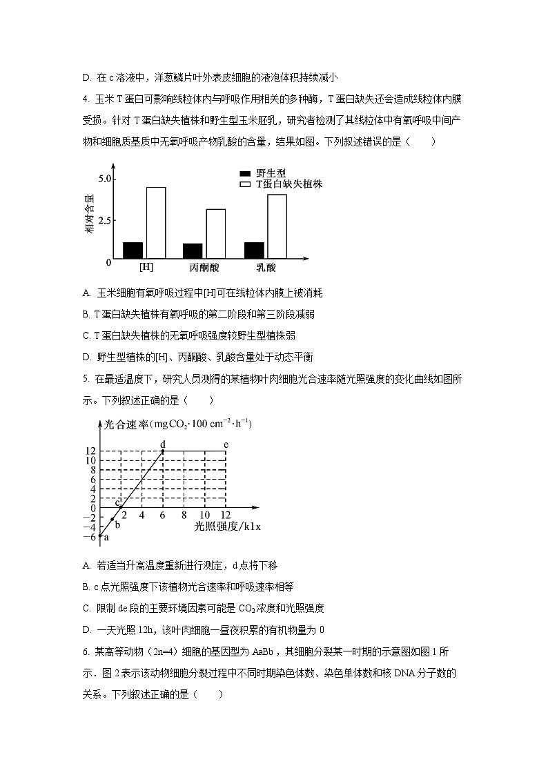 【生物】河北省邯郸市2025-2026学年高三上学期期中考试（学生版）第2页