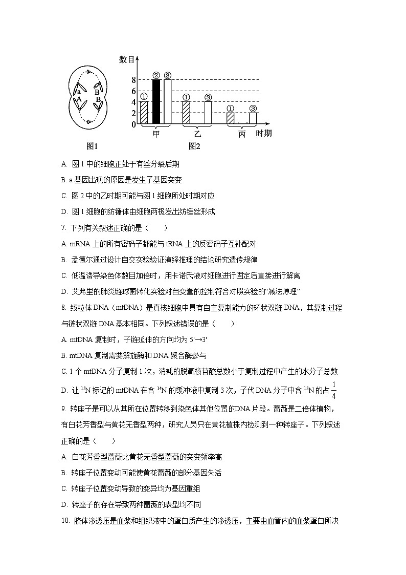 【生物】河北省邯郸市2025-2026学年高三上学期期中考试（学生版）第3页