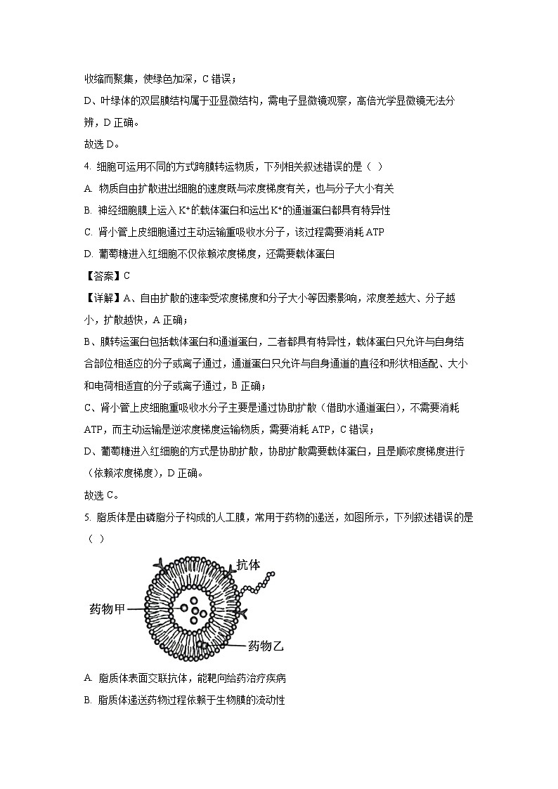 【生物】江苏省无锡市六校2025-2026学年高三上学期10月月考（解析版）第3页