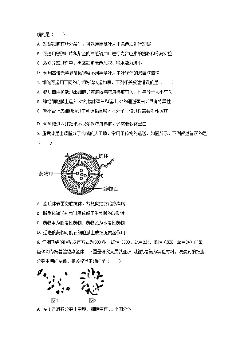 【生物】江苏省无锡市六校2025-2026学年高三上学期10月月考（学生版）第2页