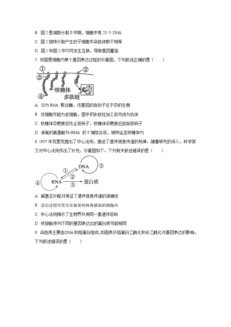 【生物】江苏省无锡市六校2025-2026学年高三上学期10月月考（学生版）第3页