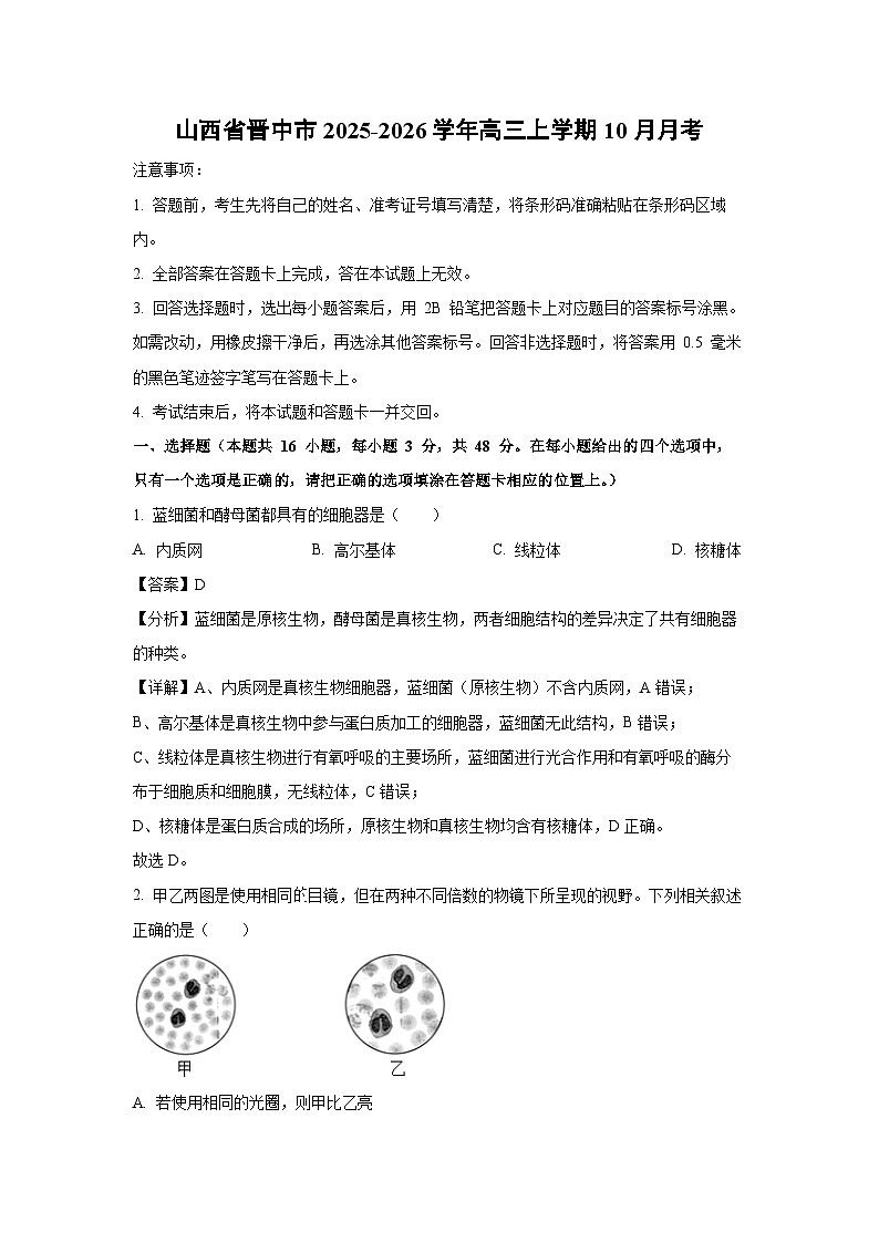 【生物】山西省晋中市2025-2026学年高三上学期10月月考（解析版）第1页