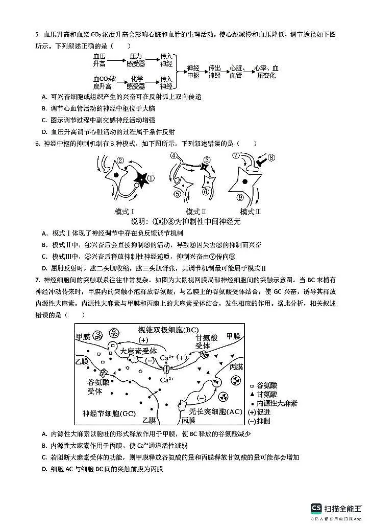 安徽省合肥市第六中学2025-2026学年高二上学期期中生物试卷第2页