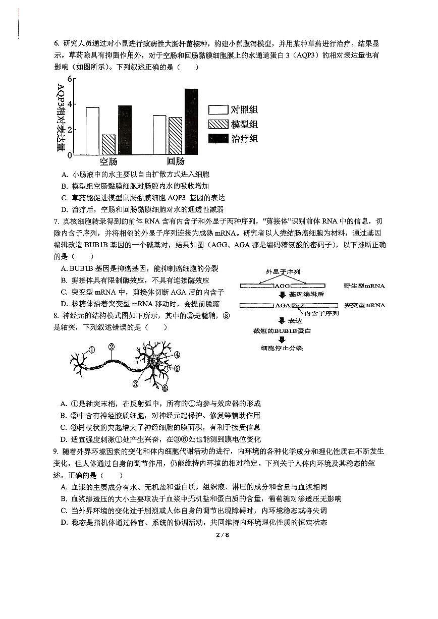 生物-福建省厦门市双十中学2026届高三上学期期中考试题及答案第2页