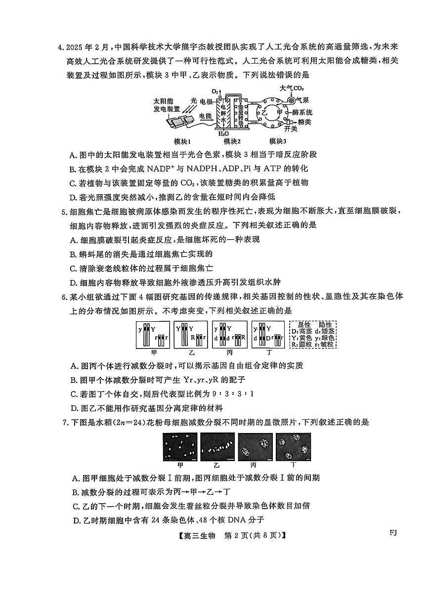 福建省百校2025—2026学年高三上学期11月联考生物试题（月考）第2页