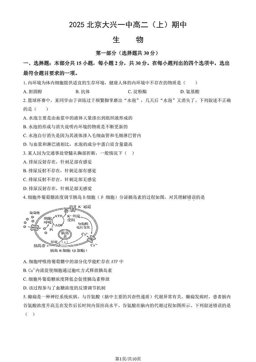 2025北京大兴一中高二（上）期中生物试卷（教师版）第1页