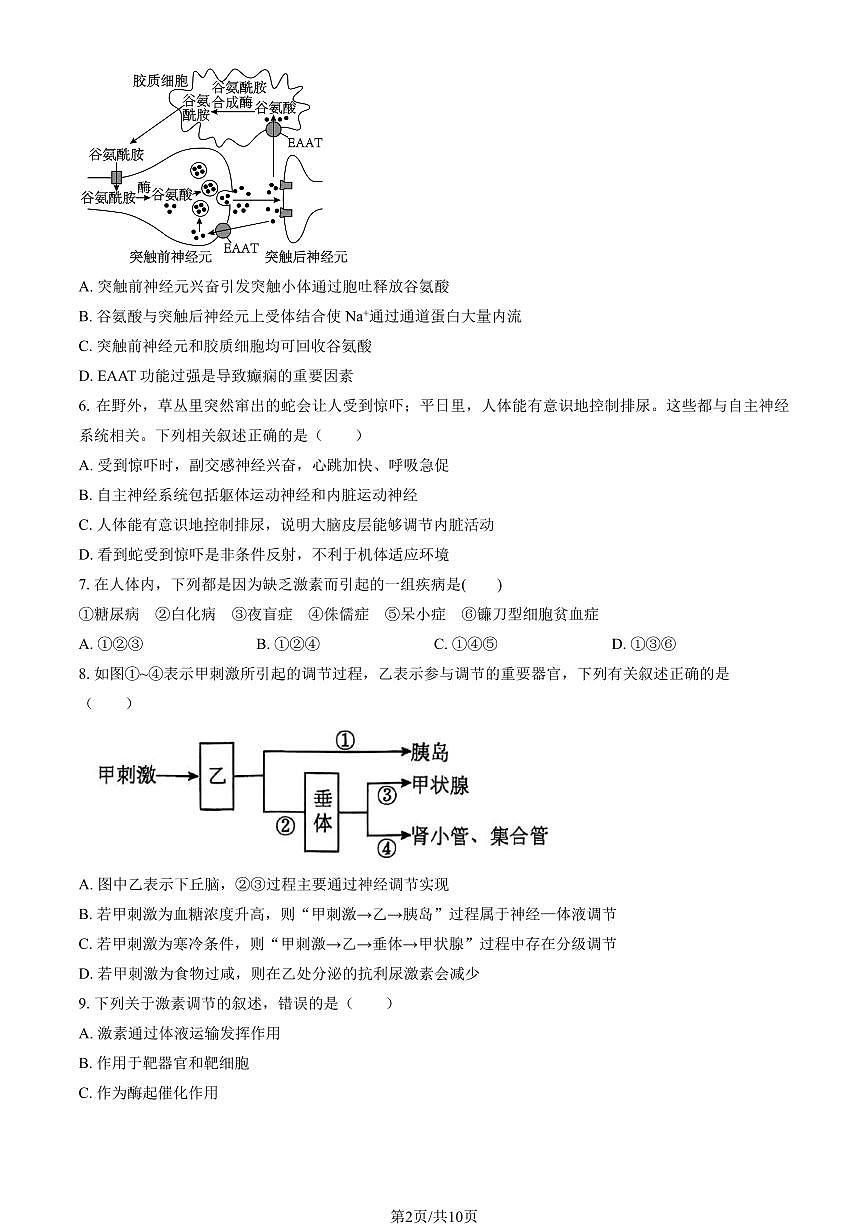 2025北京大兴一中高二（上）期中生物试卷（教师版）第2页