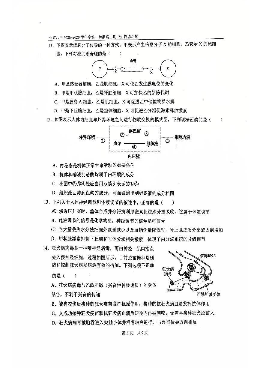 2025北京八中高二（上）期中生物试卷第3页