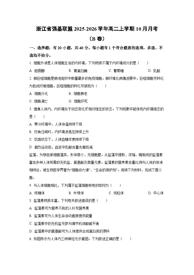 浙江省强基联盟2025-2026学年高二上学期10月月考（B卷）生物试卷（学生版）第1页