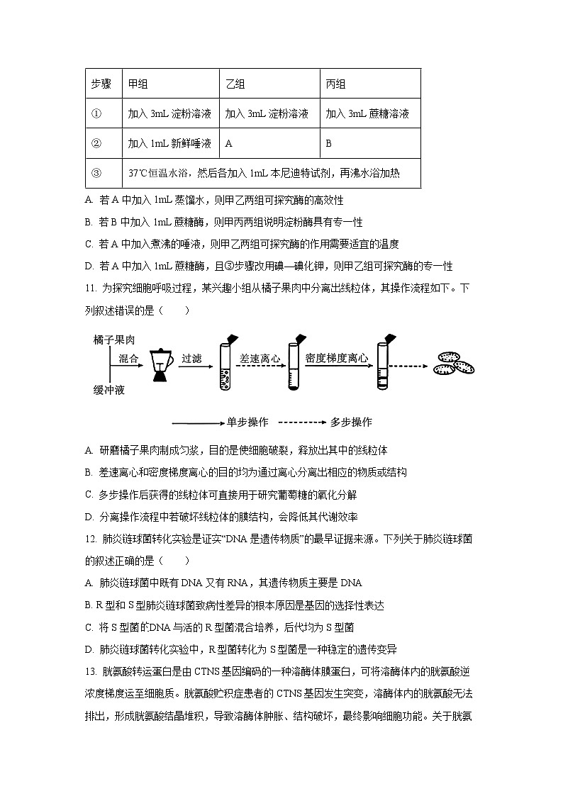 浙江省强基联盟2025-2026学年高二上学期10月月考（B卷）生物试卷（学生版）第3页