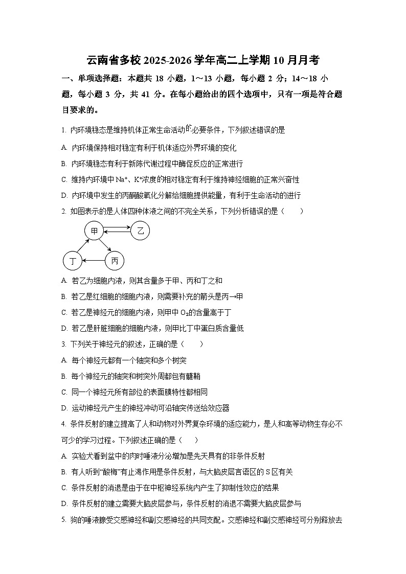 云南省多校2025-2026学年高二上学期10月月考生物试卷（学生版）第1页