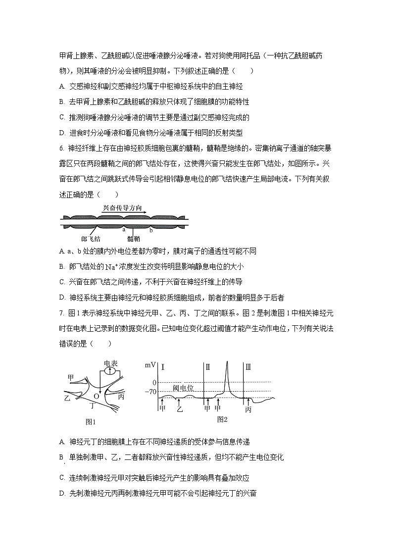 云南省多校2025-2026学年高二上学期10月月考生物试卷（学生版）第2页