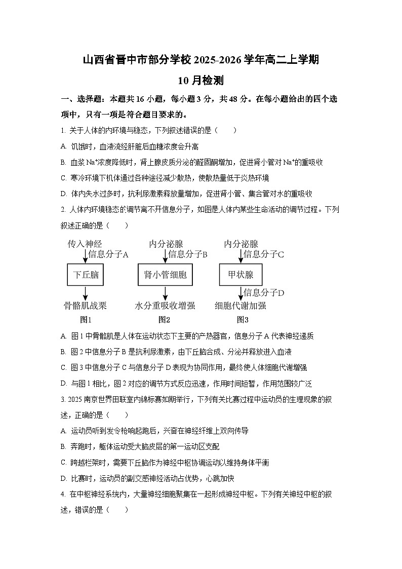山西省晋中市部分学校2025-2026学年高二上学期10月检测生物试卷（学生版）第1页