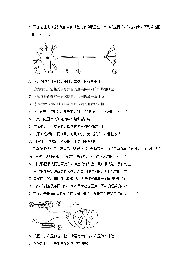 山西省怀仁市大地学校等校2025-2026学年高二上学期10月月考生物试卷（学生版）第2页