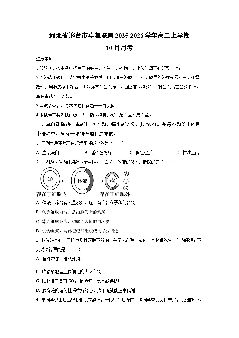 河北省邢台市卓越联盟2025-2026学年高二上学期10月月考生物试卷（学生版）第1页