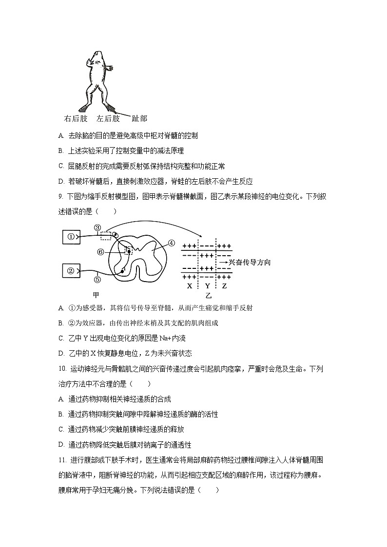 河北省邢台市卓越联盟2025-2026学年高二上学期10月月考生物试卷（学生版）第3页