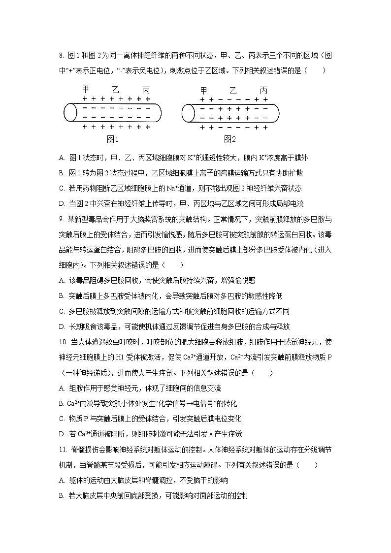 河南省平顶山市天一大联考2025-2026学年高二上学期10月月考生物试卷（学生版）第3页