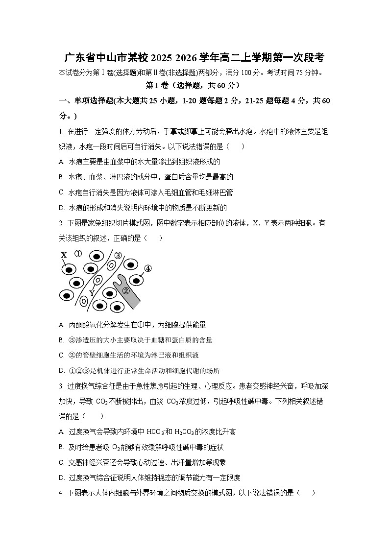 广东省中山市某校2025-2026学年高二上学期第一次段考生物试卷（学生版）第1页
