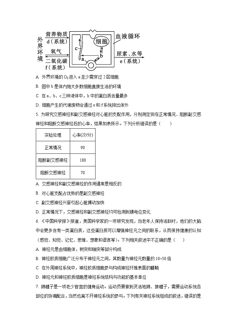 广东省中山市某校2025-2026学年高二上学期第一次段考生物试卷（学生版）第2页