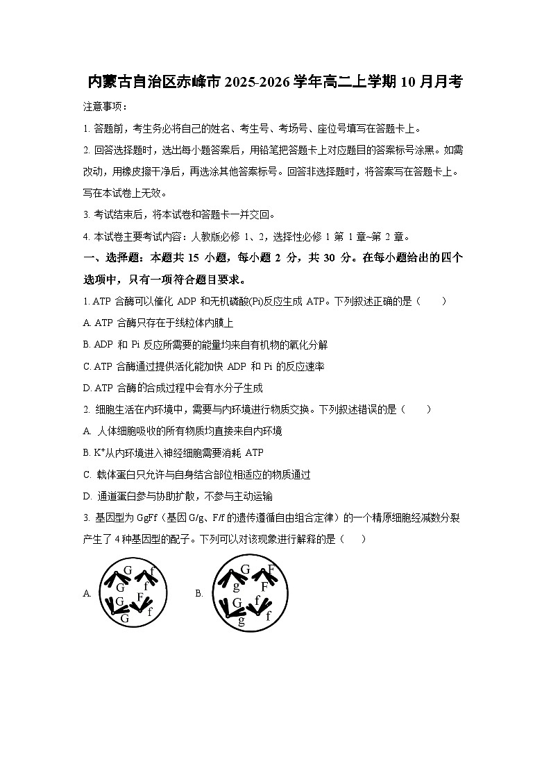 内蒙古自治区赤峰市2025-2026学年高二上学期10月月考生物试卷（学生版）第1页