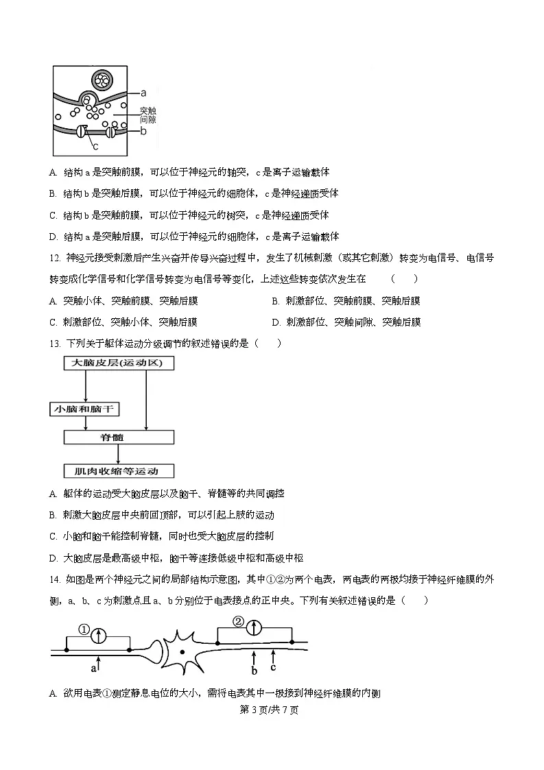 黑龙江省哈尔滨市第三十二中学2025-2026学年高二上学期11月期中生物试题（原卷版）第3页