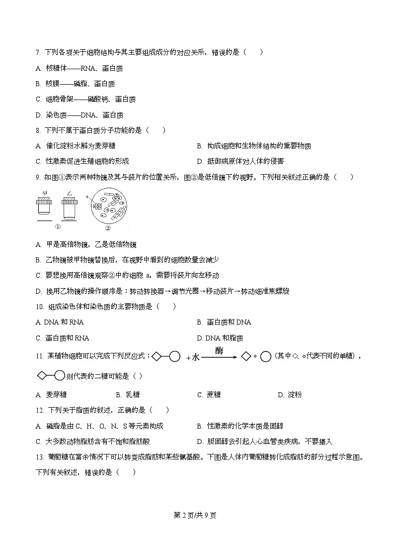 黑龙江省牡丹江市第二高级中学2025-2026学年高一上学期期中考试生物试卷（原卷版）第2页