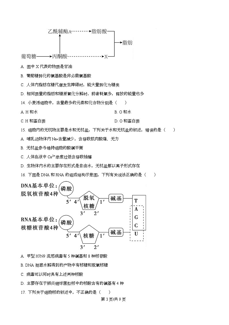 黑龙江省牡丹江市第二高级中学2025-2026学年高一上学期期中考试生物试卷（原卷版）第3页