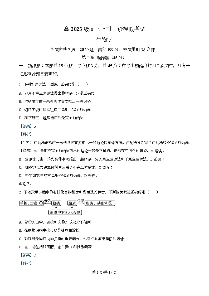 四川省泸州市合江县马街中学2026届高三一模生物试题 Word版含解析第1页